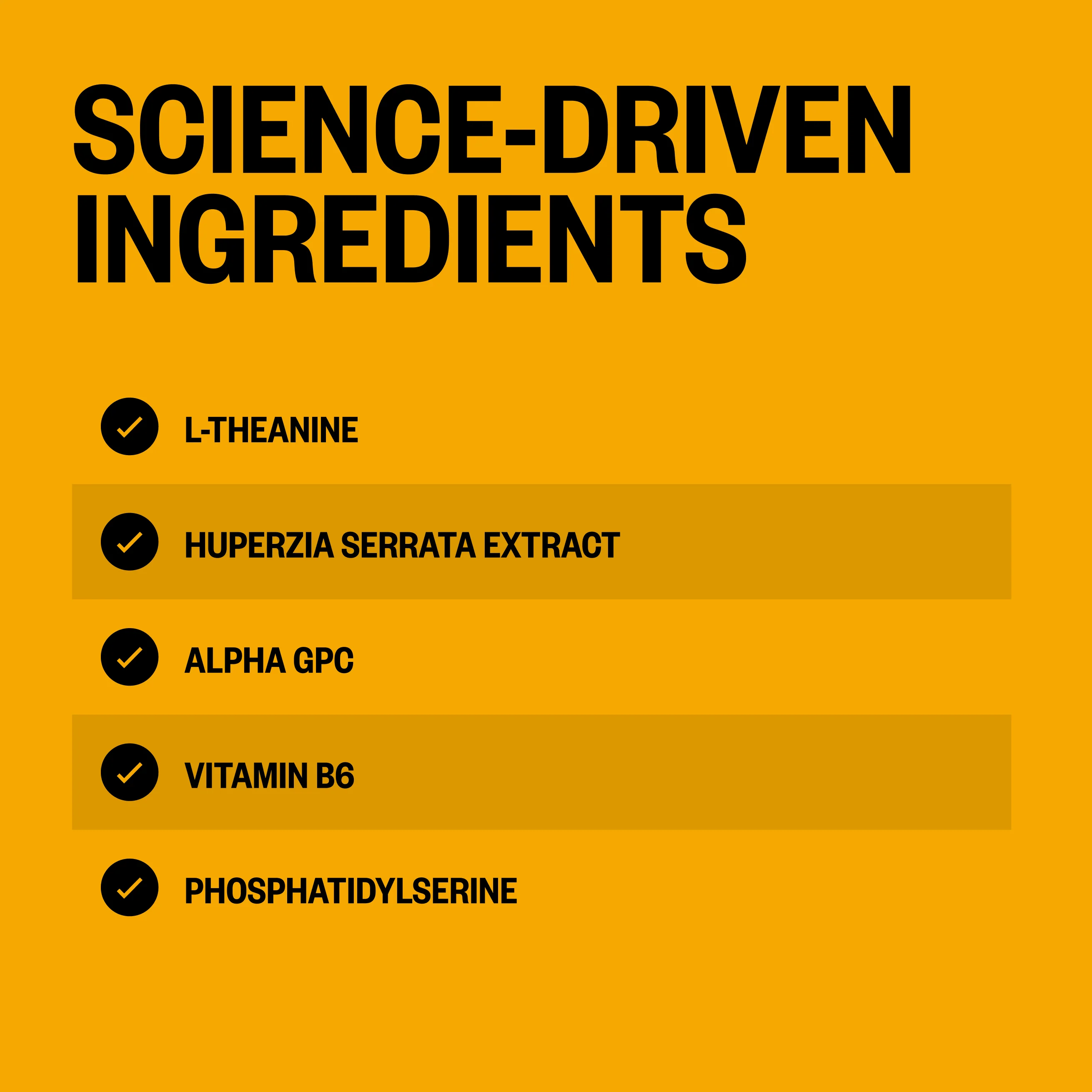 Alpha BRAIN® (30 ct) - Image 4