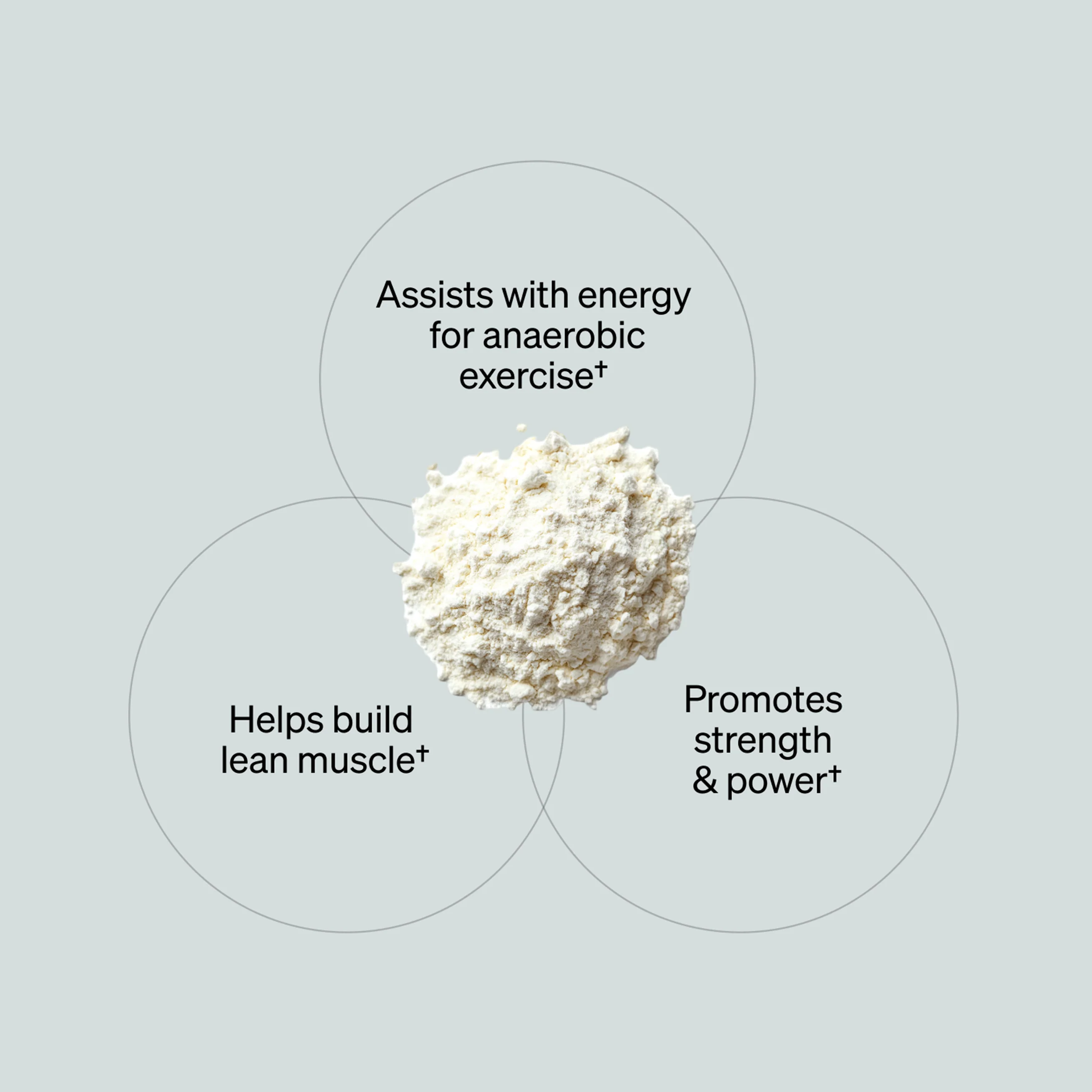 Creatine - Unflavored (30 Serving Tub) - Image 2
