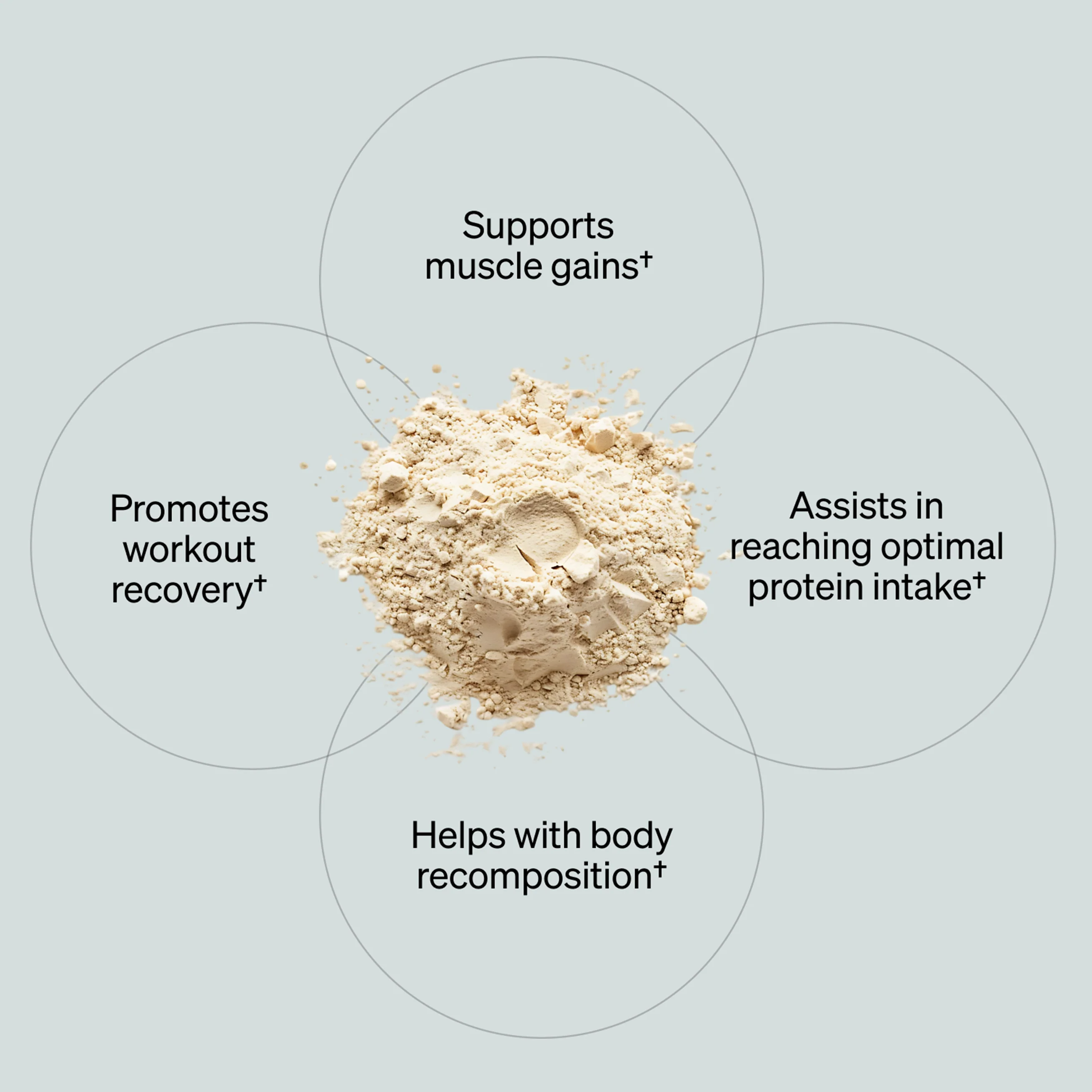 Plant-Based Protein - Chocolate (20 Serving Tub) - Image 2